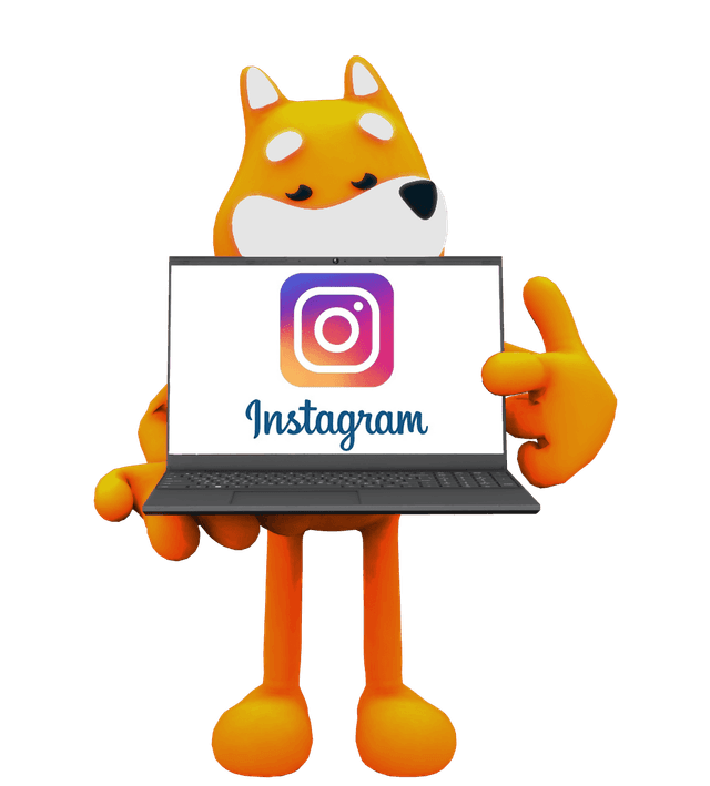 New Instagram Followers